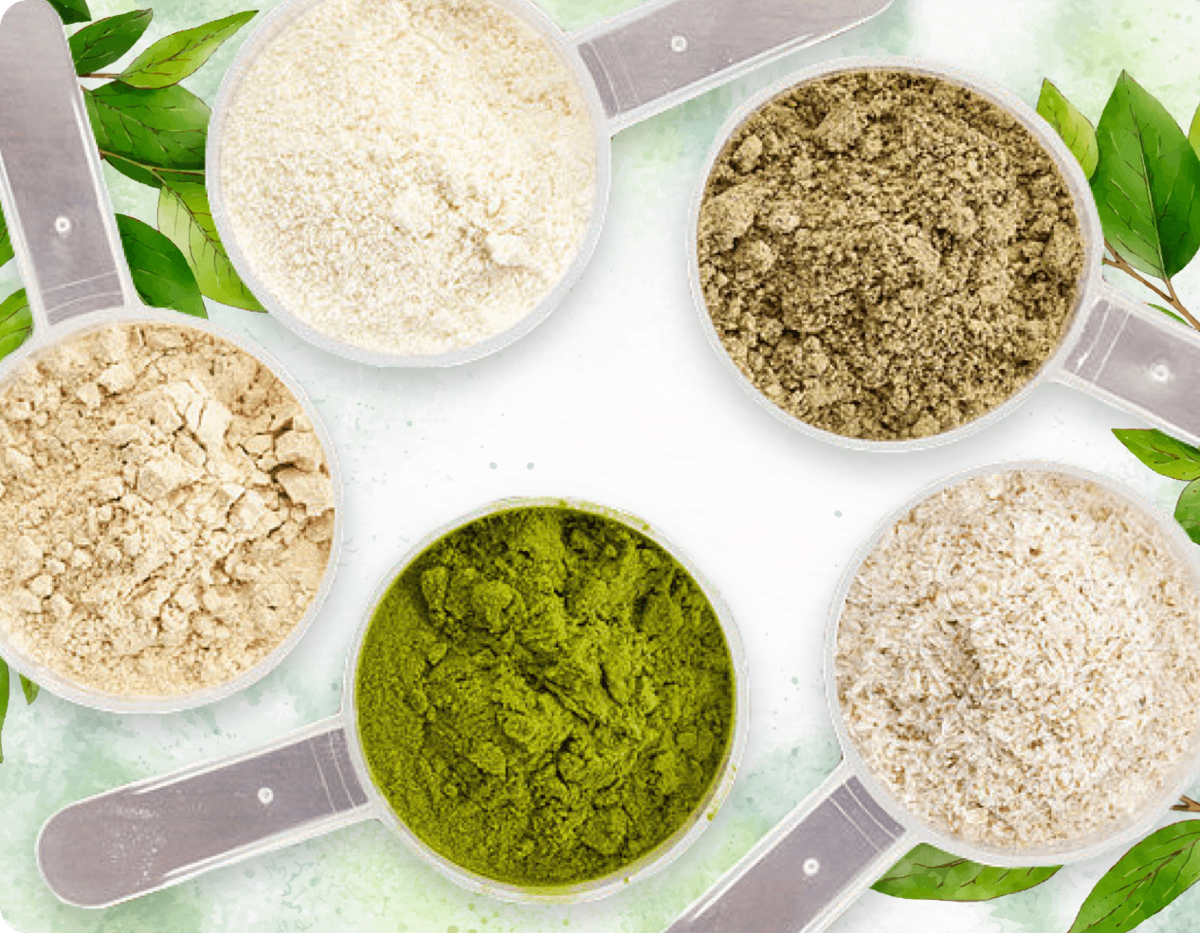ProDentim probiotic strains and natural ingredient blend